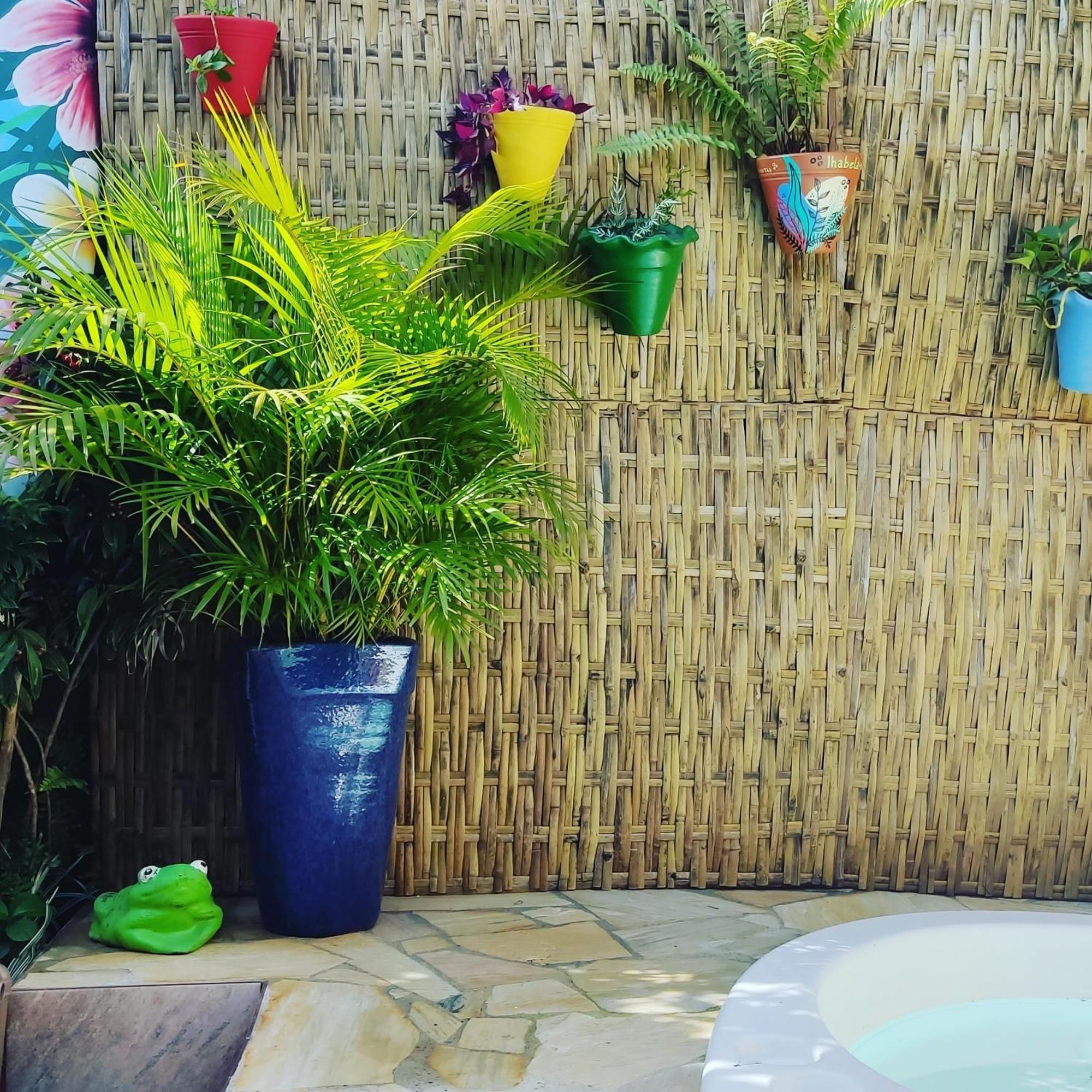 Recanto Toca Das Plantas De Ilhabela II Exterior photo