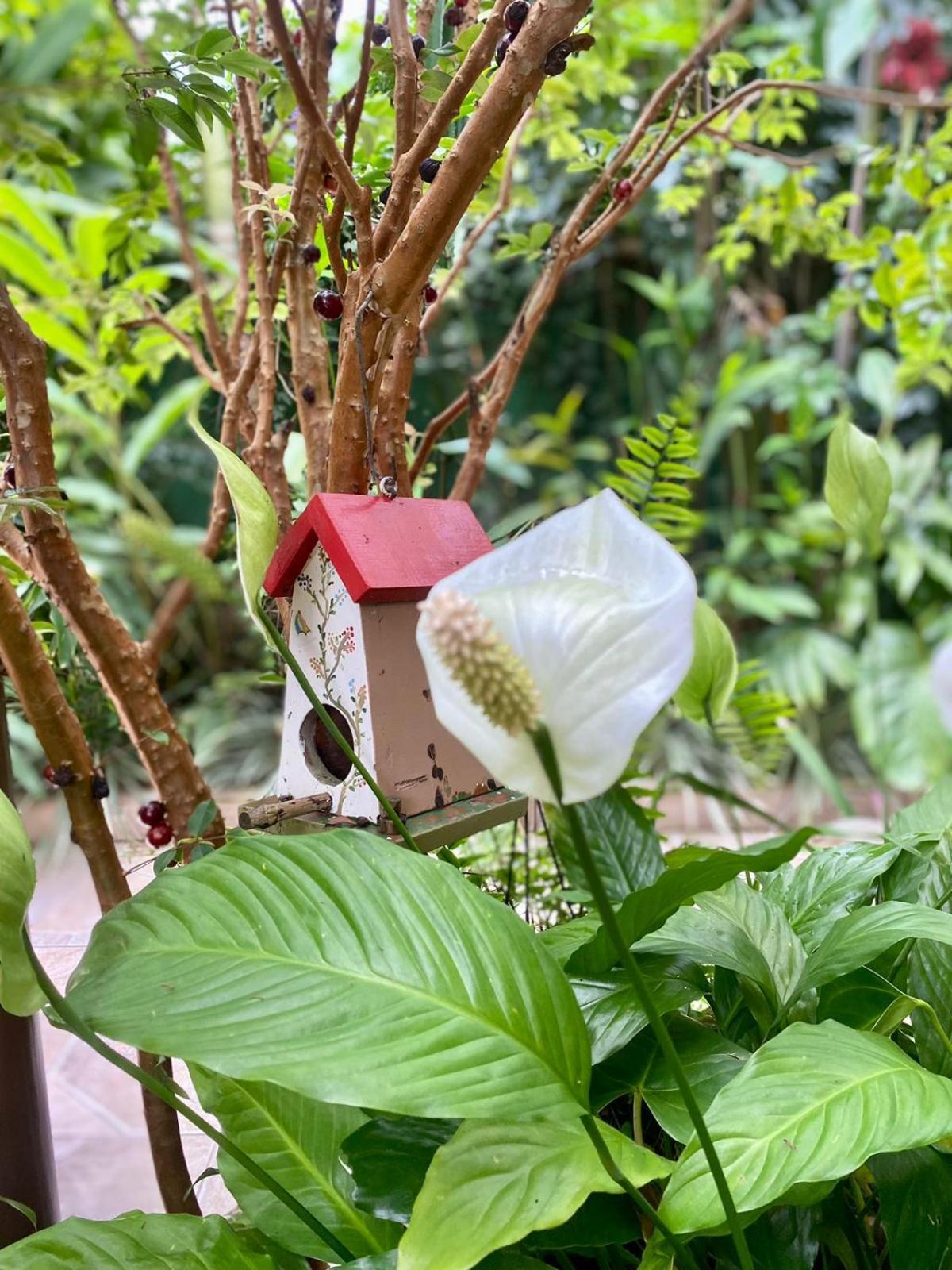 Recanto Toca Das Plantas De Ilhabela II Room photo